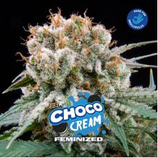 Choco Cream (x4)